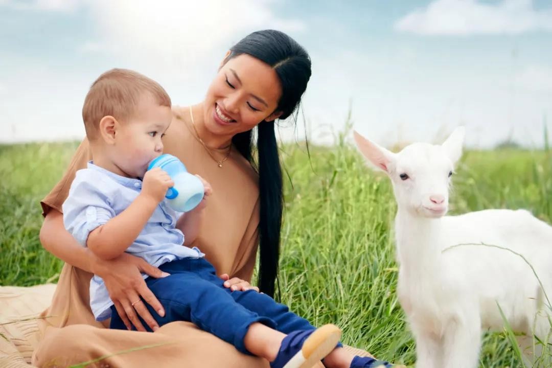 哪种羊奶粉好？佳贝艾特全面营养为宝宝提供断奶利器