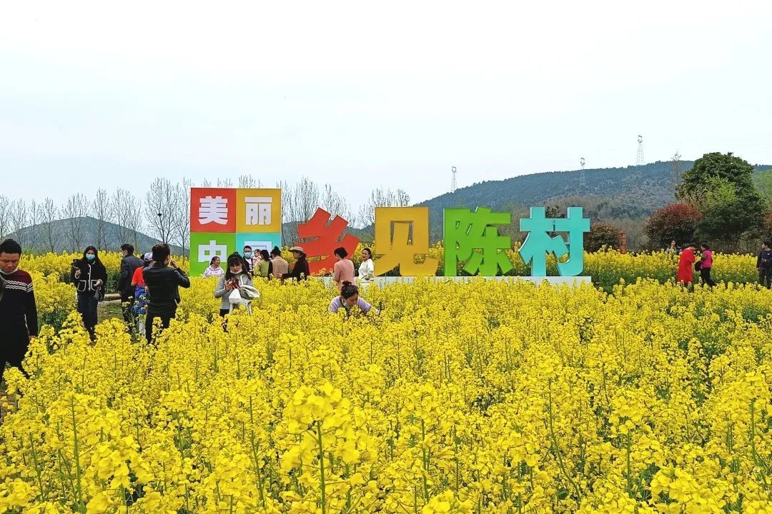 2022中國最美油菜花海漢中旅游文化節暨 全市春季主題招商周活動啟動