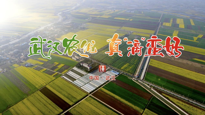 武汉优质农产品亮相央视 吹响区域公用品牌创建新号角
