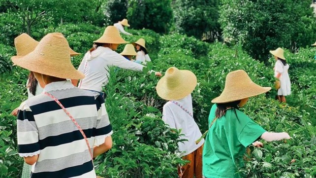 揽星河入怀，枕山野而眠丨轻和CAMPING给你露营的N种可能